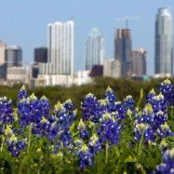 Meet your Posher, Felicia - Picture 1 of 1